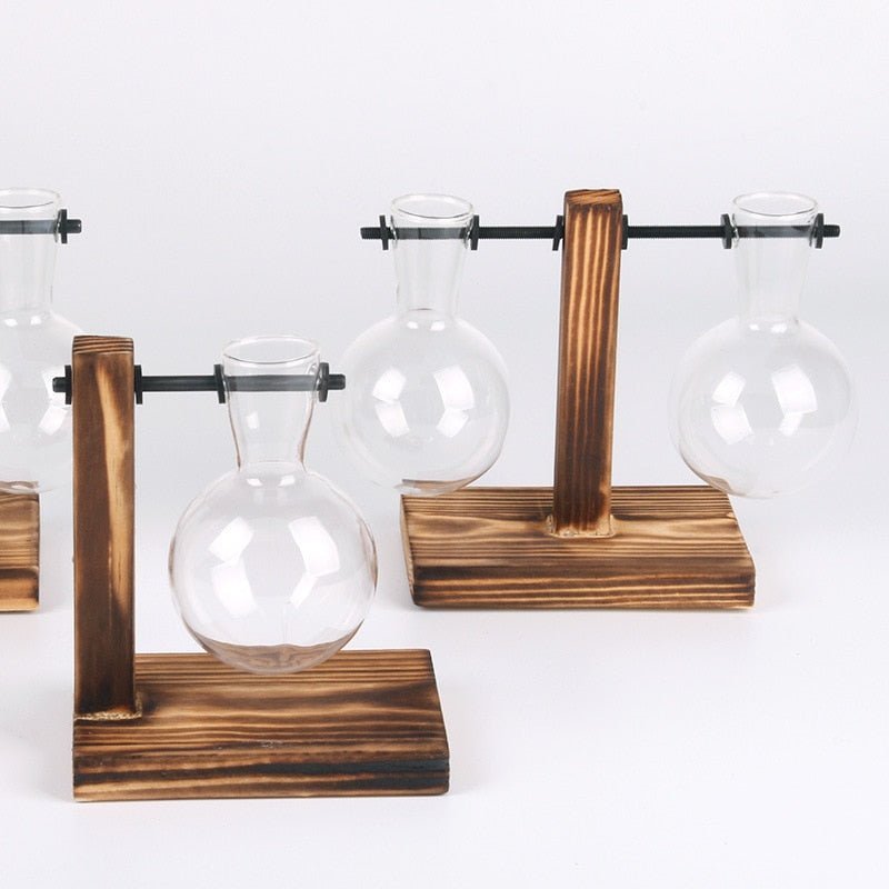 Terrarium Vases w/ Bamboo Holder