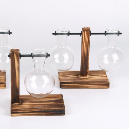 Terrarium Vases w/ Bamboo Holder