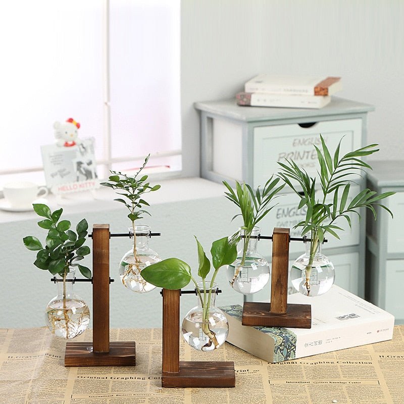 Terrarium Vases w/ Bamboo Holder