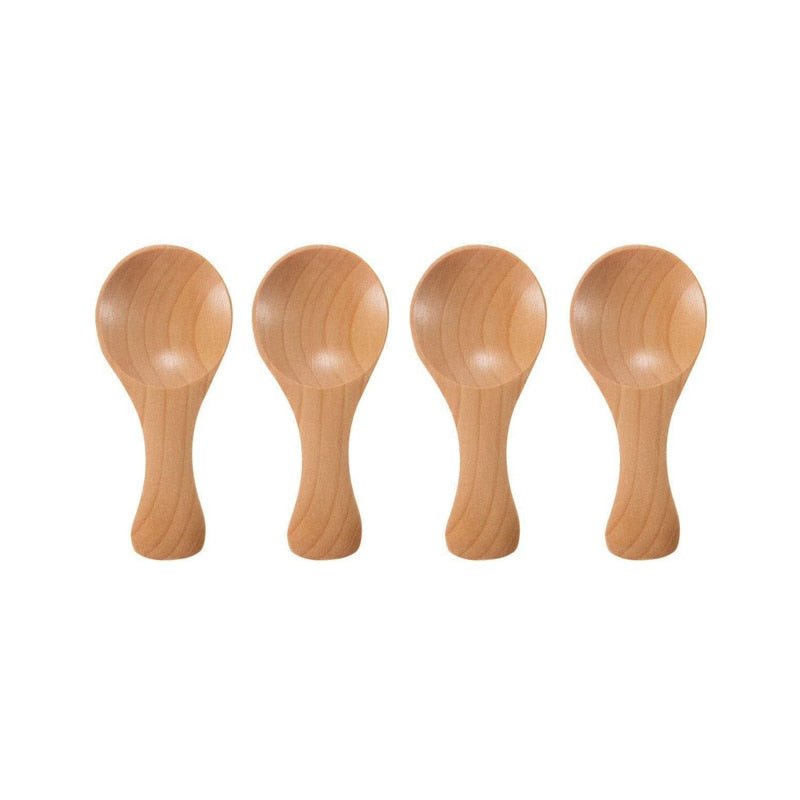 Wooden Spice Spoon Set