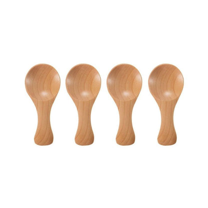 Wooden Spice Spoon Set