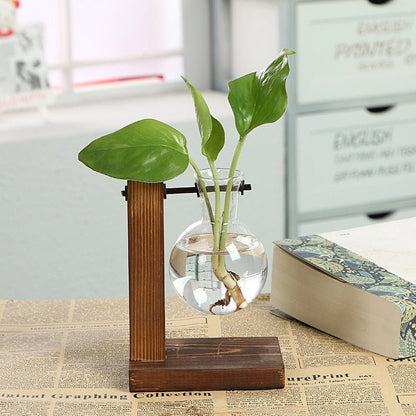 Terrarium Vases w/ Bamboo Holder