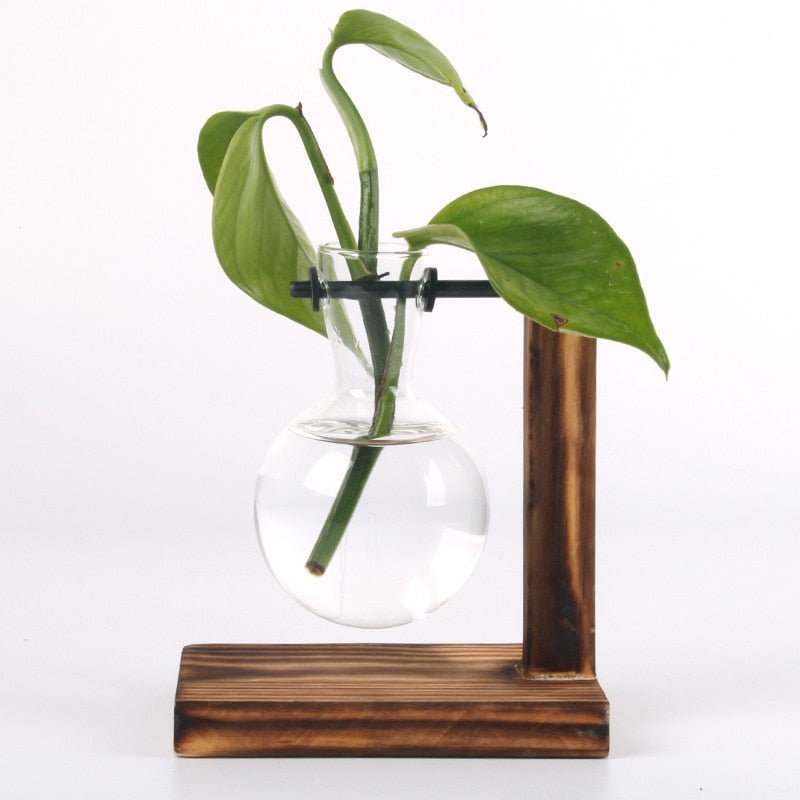 Terrarium Vases w/ Bamboo Holder