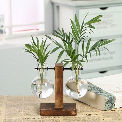 Terrarium Vases w/ Bamboo Holder