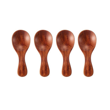 Wooden Spice Spoon Set