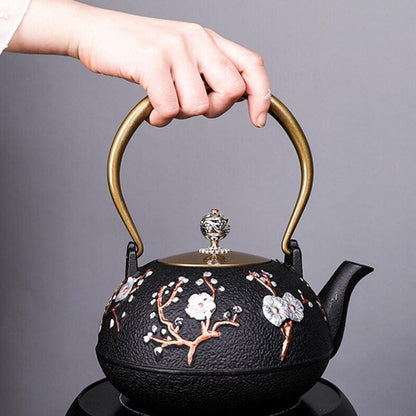 Japanese Cast Iron Teapot